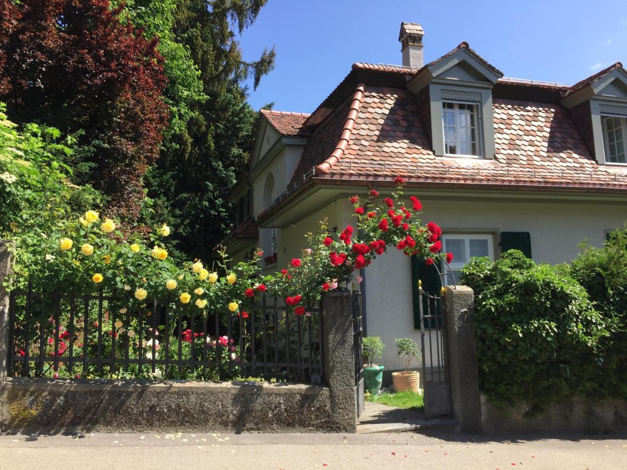 Bed And Breakfast Wildrose 베른 외부 사진